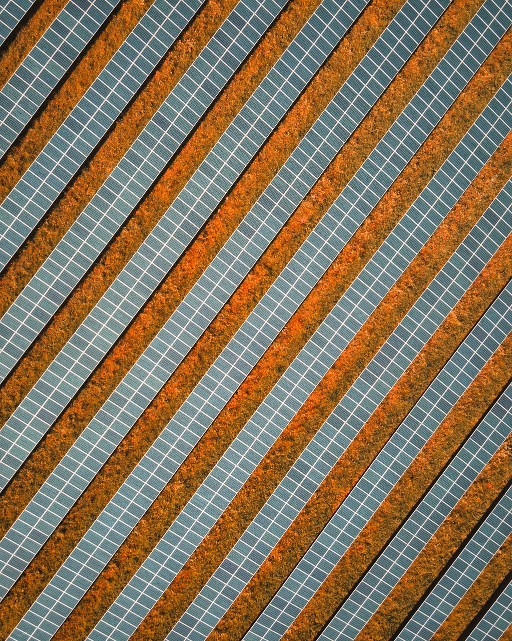 solar, solar field, solar system, photovoltaic, solar energy, solar panel, solar cells, energy, solar power, electricity, energy transition, photovoltaic system, power generation, renewable, sun, technology, environment, light, nature, power supply, voltage, turn, drone, aerial view, photovoltaic, solar panel, solar panel, solar panel, solar panel, solar panel